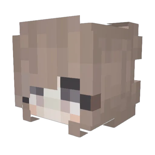 AlphaZwolf17 Minecraft avatar head, 3D render