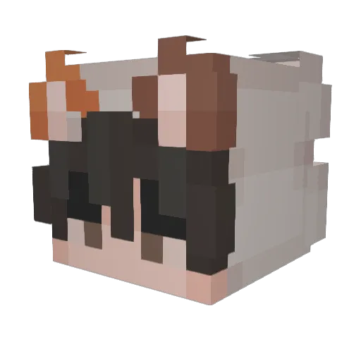 Alpha_1644 Minecraft avatar head, 3D render