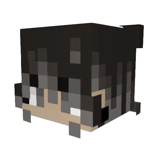 Alpha_Sg353 Minecraft avatar head, 3D render