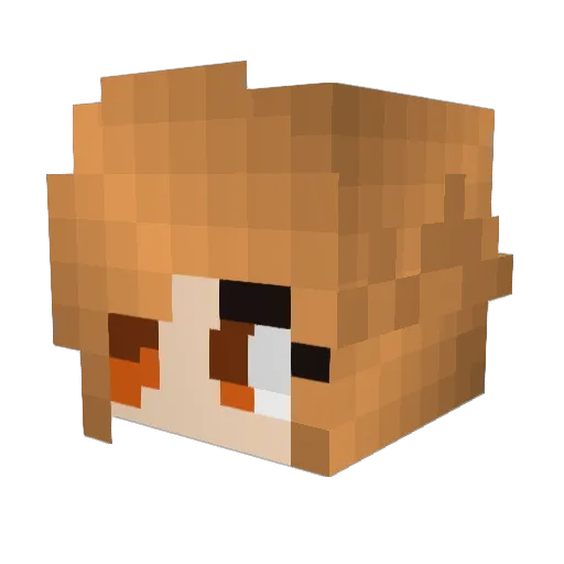 Alpha_Squirrel38 Minecraft avatar head, 3D render