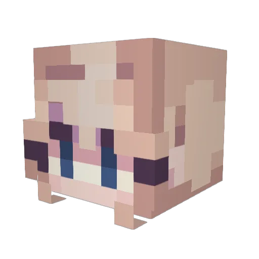 AlphabetSoup303 Minecraft avatar head, 3D render