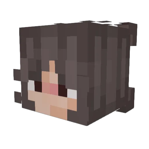 AlphabetSoup_ Minecraft avatar head, 3D render