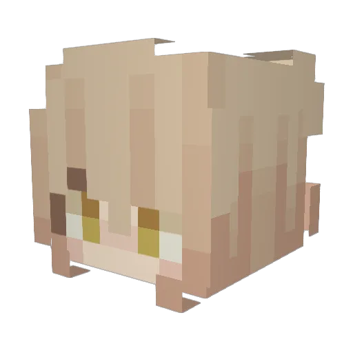 Alphadayoo Minecraft avatar head, 3D render