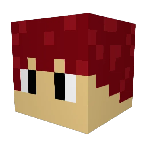 Alphagamer10006 Minecraft avatar head, 3D render