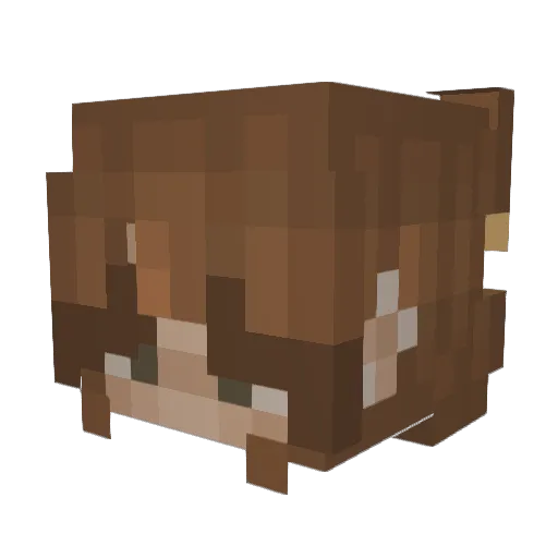 Alphanotti Minecraft avatar head, 3D render