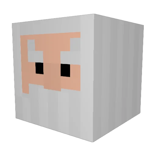 Alphapii Minecraft avatar head, 3D render