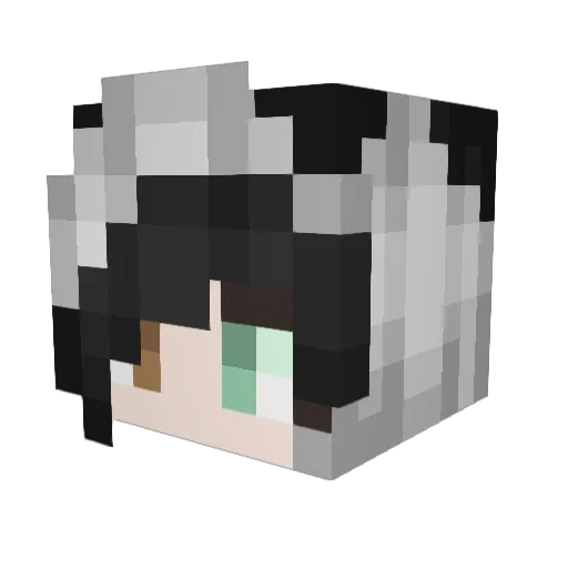 Alphashogun Minecraft avatar head, 3D render