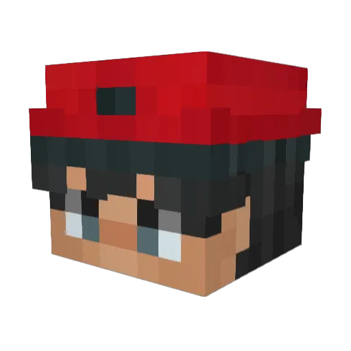 Alphastein_102 Minecraft avatar head, 3D render