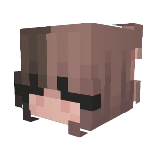 Alphaxinnit Minecraft avatar head, 3D render