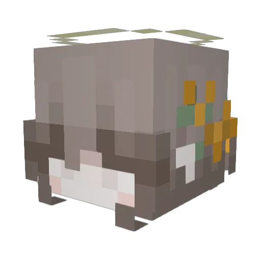Alpheus996 Minecraft avatar head, 3D render