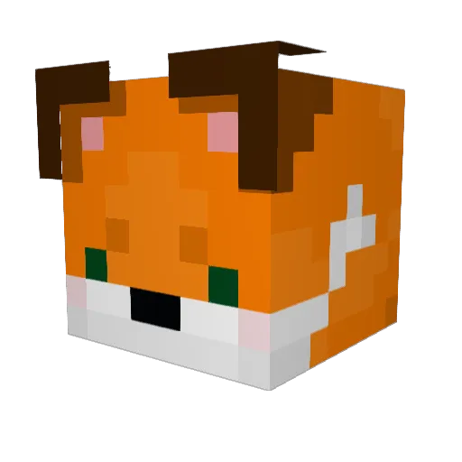 Alpine__Fox Minecraft avatar head, 3D render
