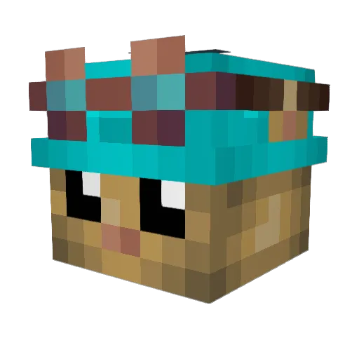Alpisa360 Minecraft avatar head, 3D render