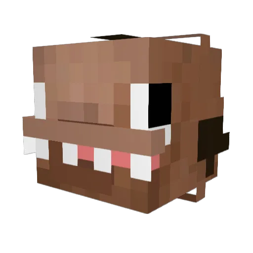 Alqnn Minecraft avatar head, 3D render