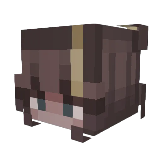 Alqtt Minecraft avatar head, 3D render