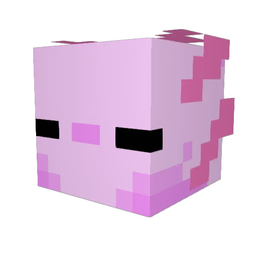 AlrightMango Minecraft avatar head, 3D render