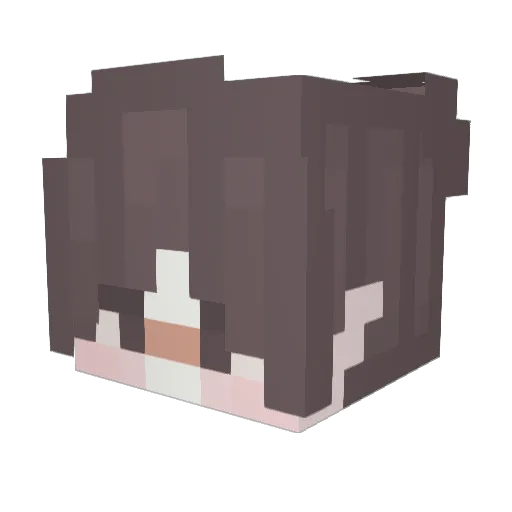 AlrightPause Minecraft avatar head, 3D render