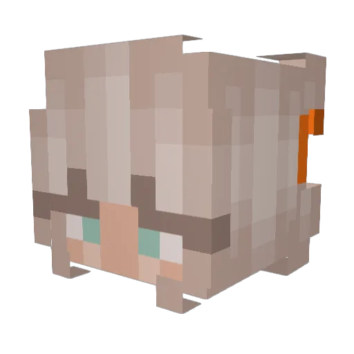 Alsheii Minecraft avatar head, 3D render