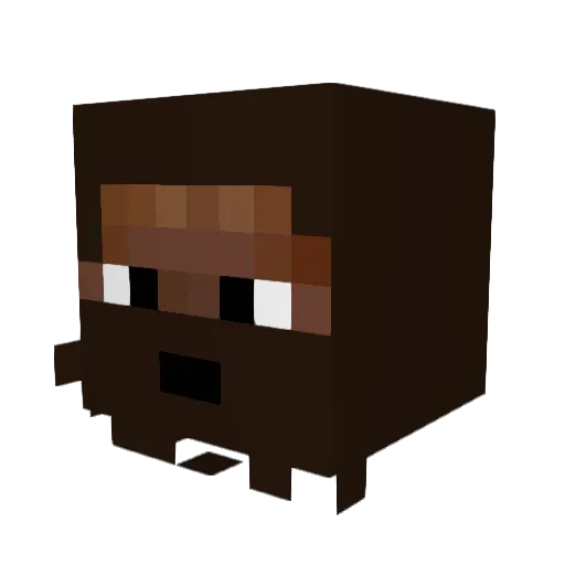 Alsio09 Minecraft avatar head, 3D render