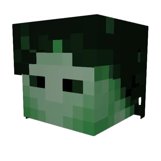 AlsoTheEndless Minecraft avatar head, 3D render