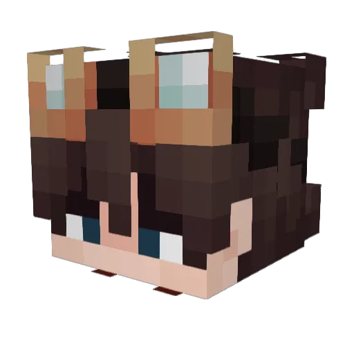 Also_Peculiar Minecraft avatar head, 3D render