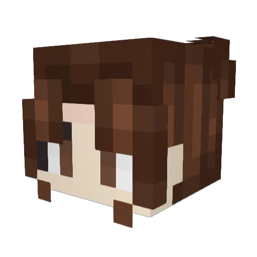 Alt773 Minecraft avatar head, 3D render