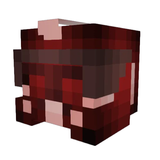 AltRay3465 Minecraft avatar head, 3D render