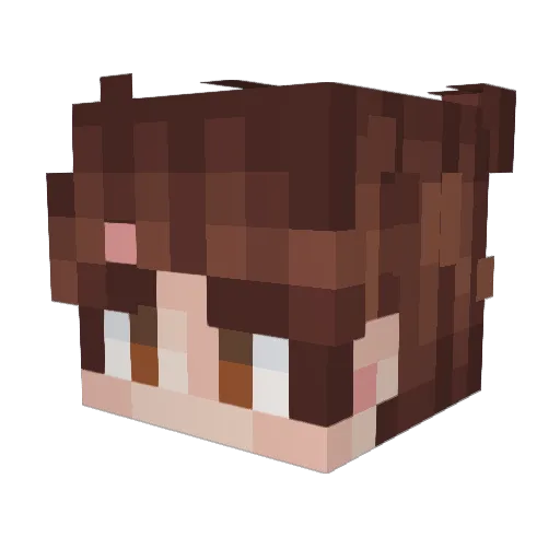 Altair1555 Minecraft avatar head, 3D render