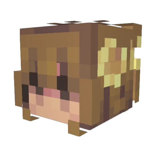 AltairTheStarr Minecraft avatar head, 3D render