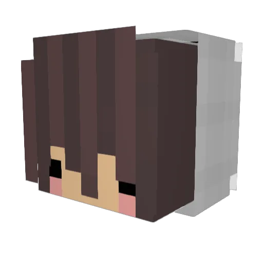 AltePommes Minecraft avatar head, 3D render