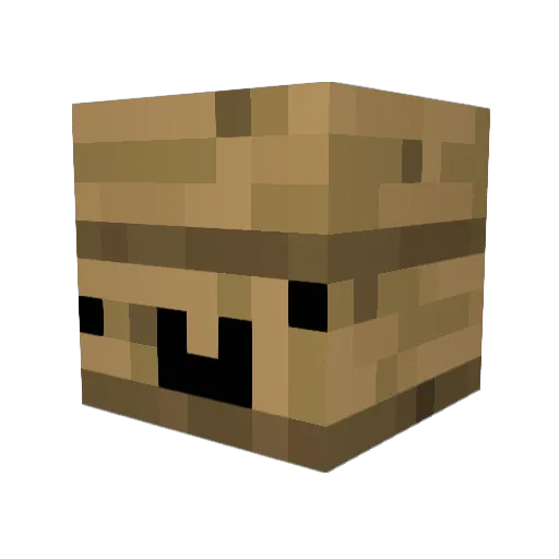 Altecer Minecraft avatar head, 3D render