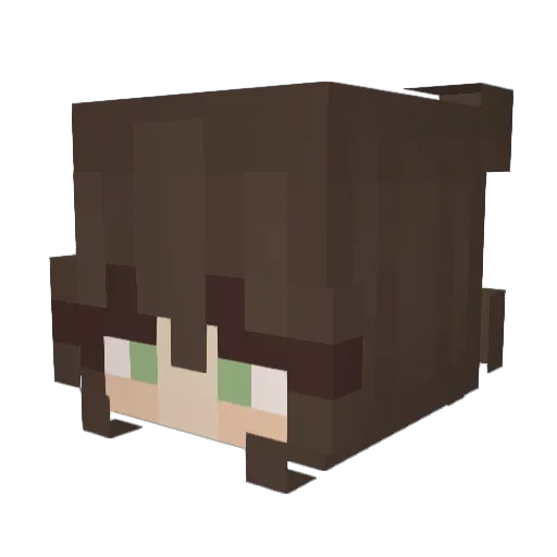AlterCount Minecraft avatar head, 3D render