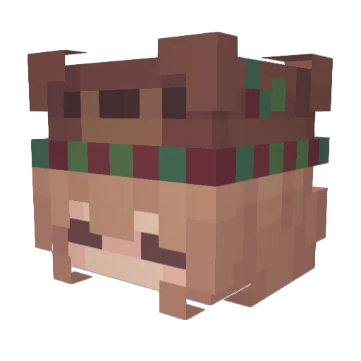 AlterFadeNom Minecraft avatar head, 3D render