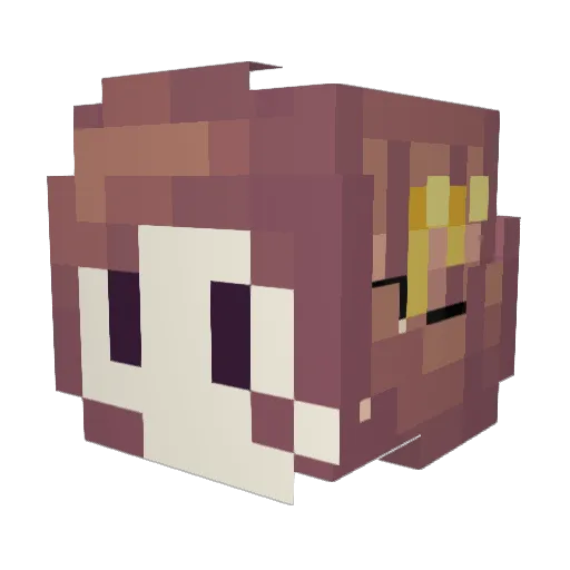 AlterSorcerer Minecraft avatar head, 3D render