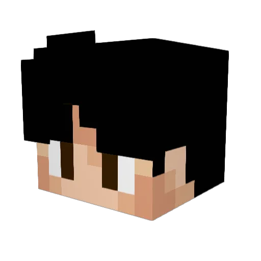Alteraider Minecraft avatar head, 3D render