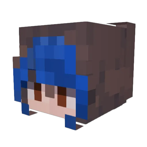 AlteredGecko205 Minecraft avatar head, 3D render