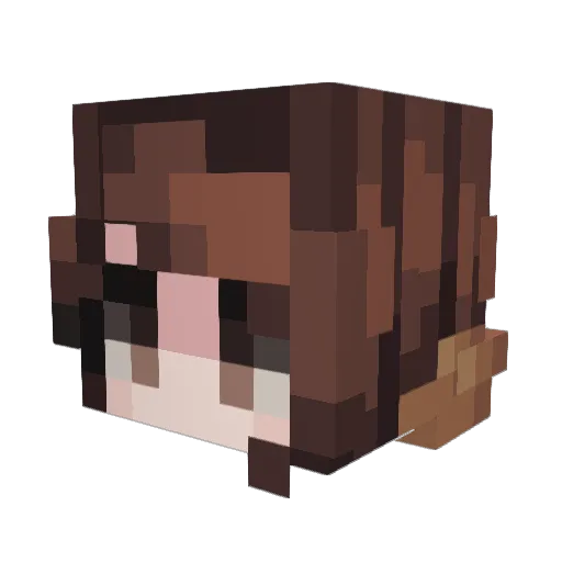 Alternativevoid_ Minecraft avatar head, 3D render