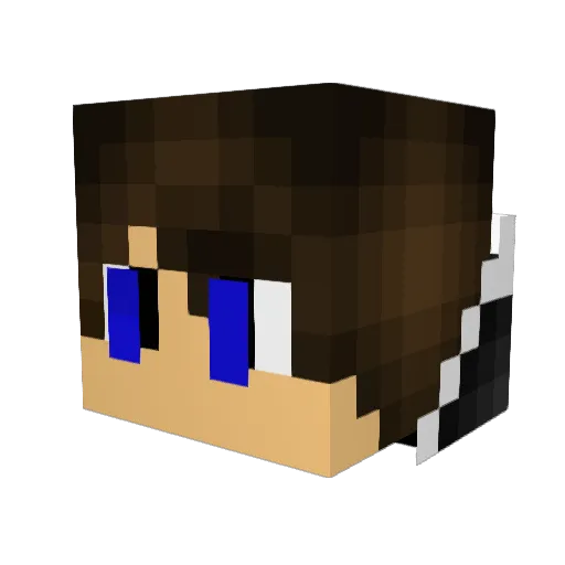 AltijdGeelen Minecraft avatar head, 3D render