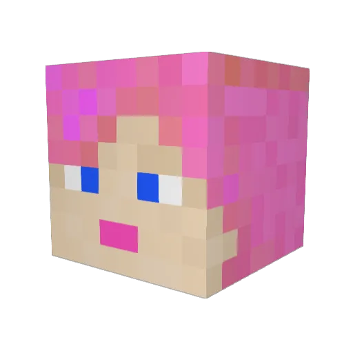 Altivolus Minecraft avatar head, 3D render