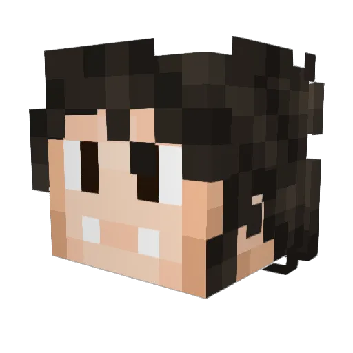 Aluas Minecraft avatar head, 3D render