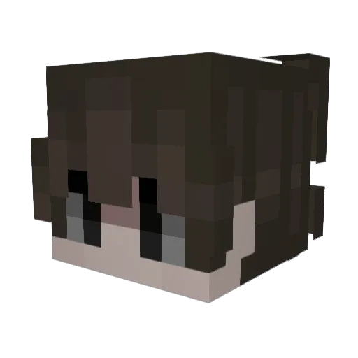 Aluciin Minecraft avatar head, 3D render