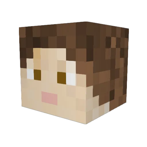 AlucsPhi Minecraft avatar head, 3D render