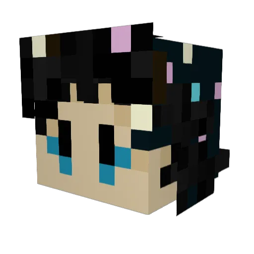 Aluid Minecraft avatar head, 3D render