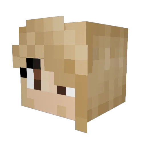 Aluin_ Minecraft avatar head, 3D render