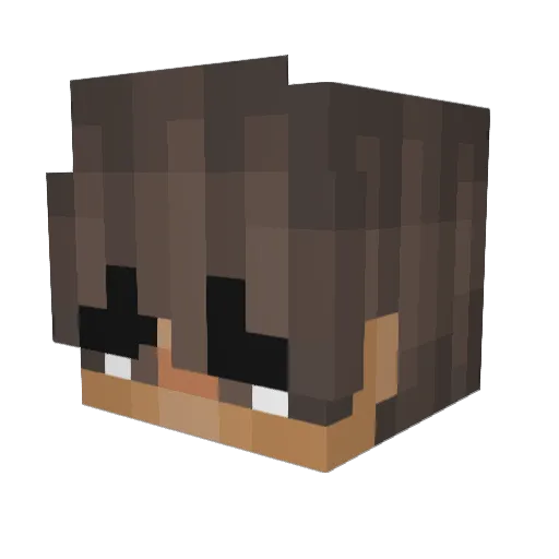 Aluminem_ Minecraft avatar head, 3D render