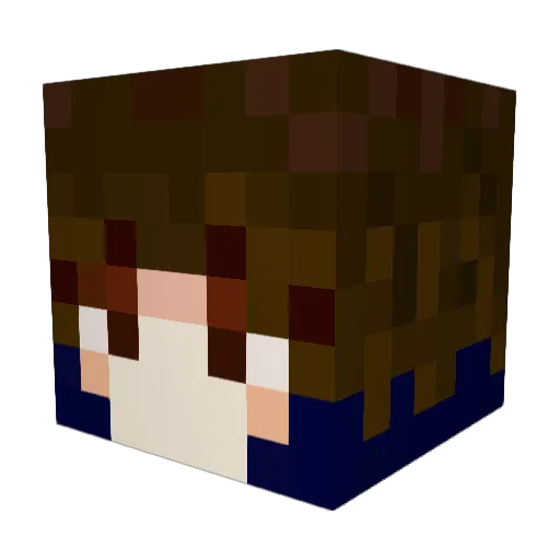AluminiumSun Minecraft avatar head, 3D render