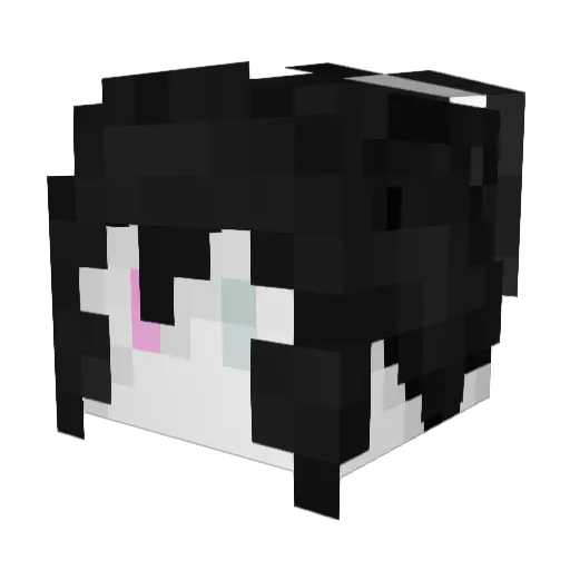 Aluxe_404 Minecraft avatar head, 3D render