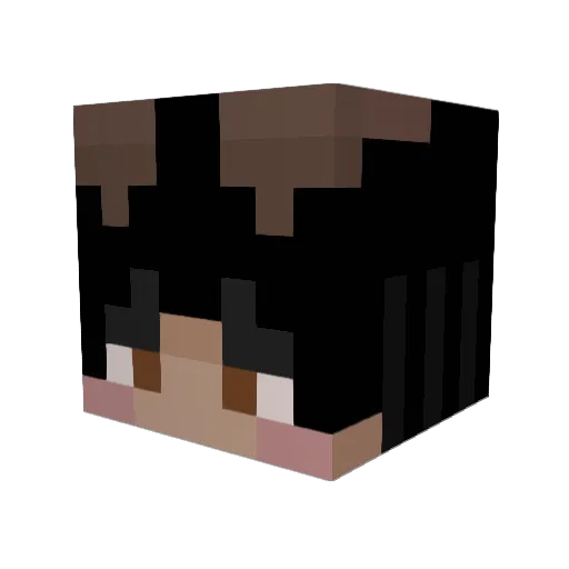 AlvWasHere Minecraft avatar head, 3D render