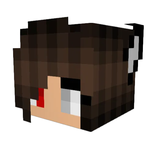 Alva2010 Minecraft avatar head, 3D render