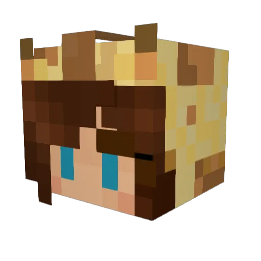 Alvaraffe Minecraft avatar head, 3D render