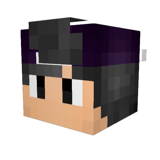 Alvarexx26 Minecraft avatar head, 3D render